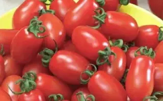 СЛАДКАЯ ДЕВОЧКА