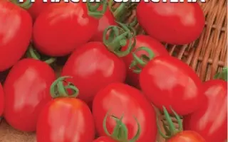 НАСТЯ-СЛАСТЕНА