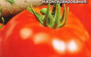 КУТУЗОВ