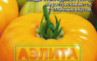 СИЯЮЩИЙ ШАР