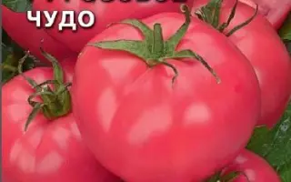 РОЗОВОЕ ЧУДО