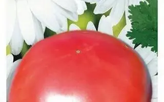 ЛЮБОВЬ ЗЕМНАЯ