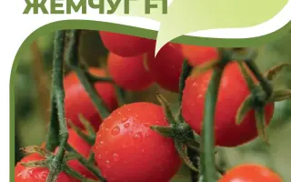 ДНЕСТРОВСКИЙ ЖЕМЧУГ