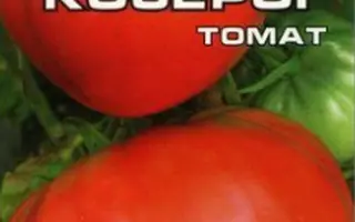 СОЗВЕЗДИЕ КОЗЕРОГА