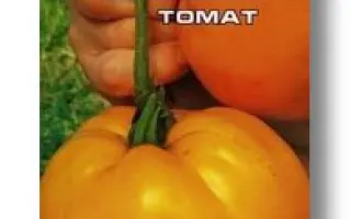 СОЗВЕЗДИЕ ВЕСОВ