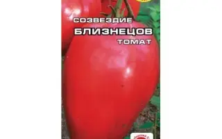 СОЗВЕЗДИЕ БЛИЗНЕЦЫ