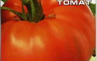 СОЗВЕЗДИЕ ЛЬВА