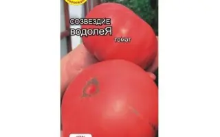 СОЗВЕЗДИЕ ВОДОЛЕЙ