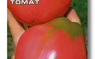 СОЗВЕЗДИЕ РАКА