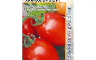 ХАЙ- КОЛОР 312