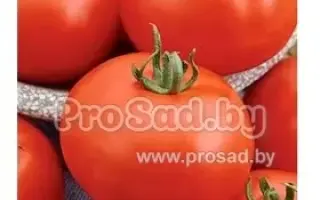 ПРИПОЛЯРНЫЙ