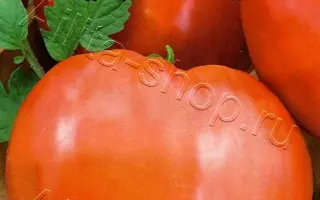 РОЗОВОЕ СЕРДЦЕ