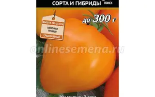 ОРАНЖЕВОЕ СЕРДЦЕ