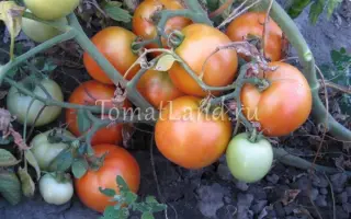 РОЖДЕСТВЕНСКИЙ