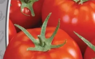 МАКСИМИЛЬЯН