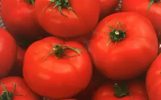 МЕЧТА ОГОРОДНИКА