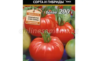 ДОБРЫНЯ НИКИТИЧ