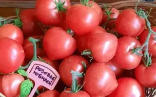 ЮБИЛЕЙ ПОДМОСКОВЬЯ