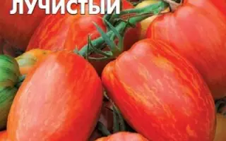 САМОЦВЕТ ЛУЧИСТЫЙ