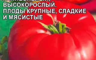 ДОРОГОЙ ГОСТЬ