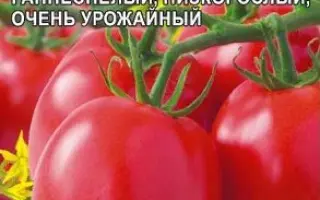 ДРУЗЬЯ-ТОВАРИЩИ