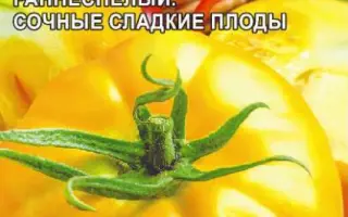 БАБУШКИН ПОЦЕЛУЙ