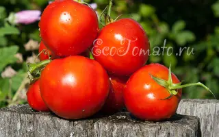 ПТИЦА СЧАСТЬЯ