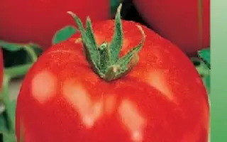 БАЛТИЙСКИЙ