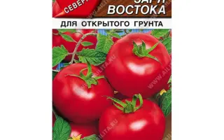 ЗАРЯ ВОСТОКА