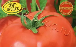 СНЕЖНЫЙ БАРС