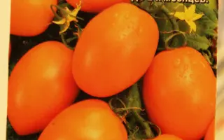 ЯНТАРНЫЙ КУБОК