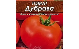 ДУБРАВА
