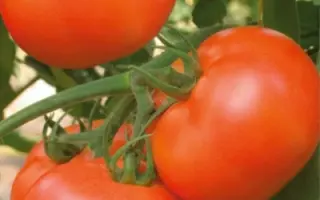 АСТРАХАНСКИЙ