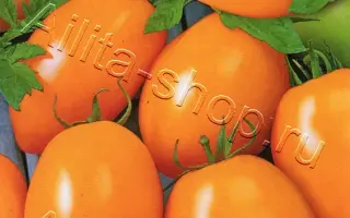 БАНАН ОРАНЖЕВЫЙ