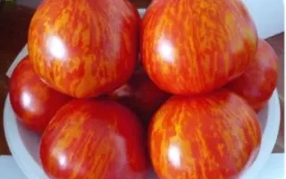 ОБОЛЬСТИТЕЛЬ