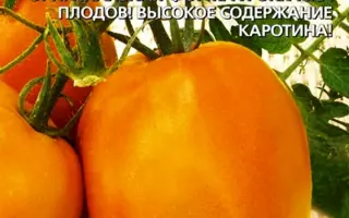 ОРАНЖЕВЫЙ АВЮРИ