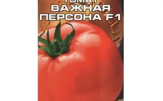ВАЖНАЯ ПЕРСОНА