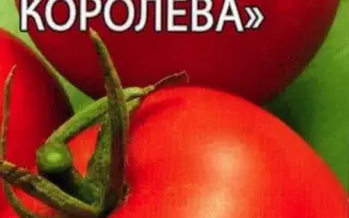 СНЕЖНАЯ КОРОЛЕВА