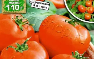 КРЕМЛЕВСКИЙ