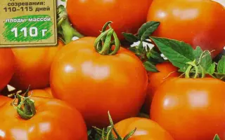 РУССКИЙ ГОСТИНЕЦ