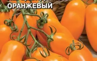 ПЕРЦЕВИДНЫЙ ОРАНЖЕВЫЙ