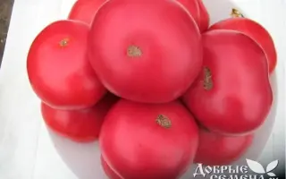 ПИНК ПАРАДАЙЗ