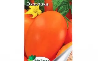 ЭКЗОТИКА
