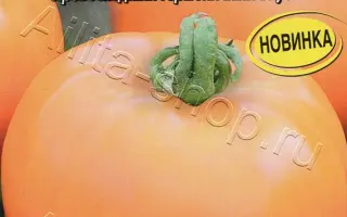 АЛТАЙСКИЙ ОРАНЖЕВЫЙ