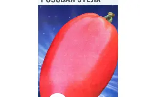 РОЗОВАЯ СТЕЛА