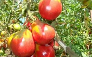 ИВАН КУПАЛА