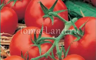 МОСКОВСКИЙ