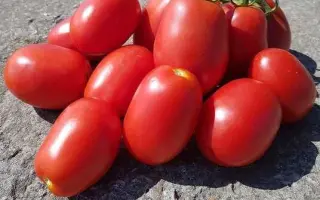 РЕКОРДСМЕН