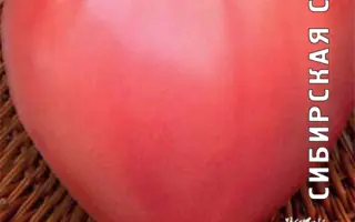 КРАСА РОССИИ