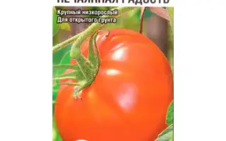 НЕЧАЯННАЯ РАДОСТЬ